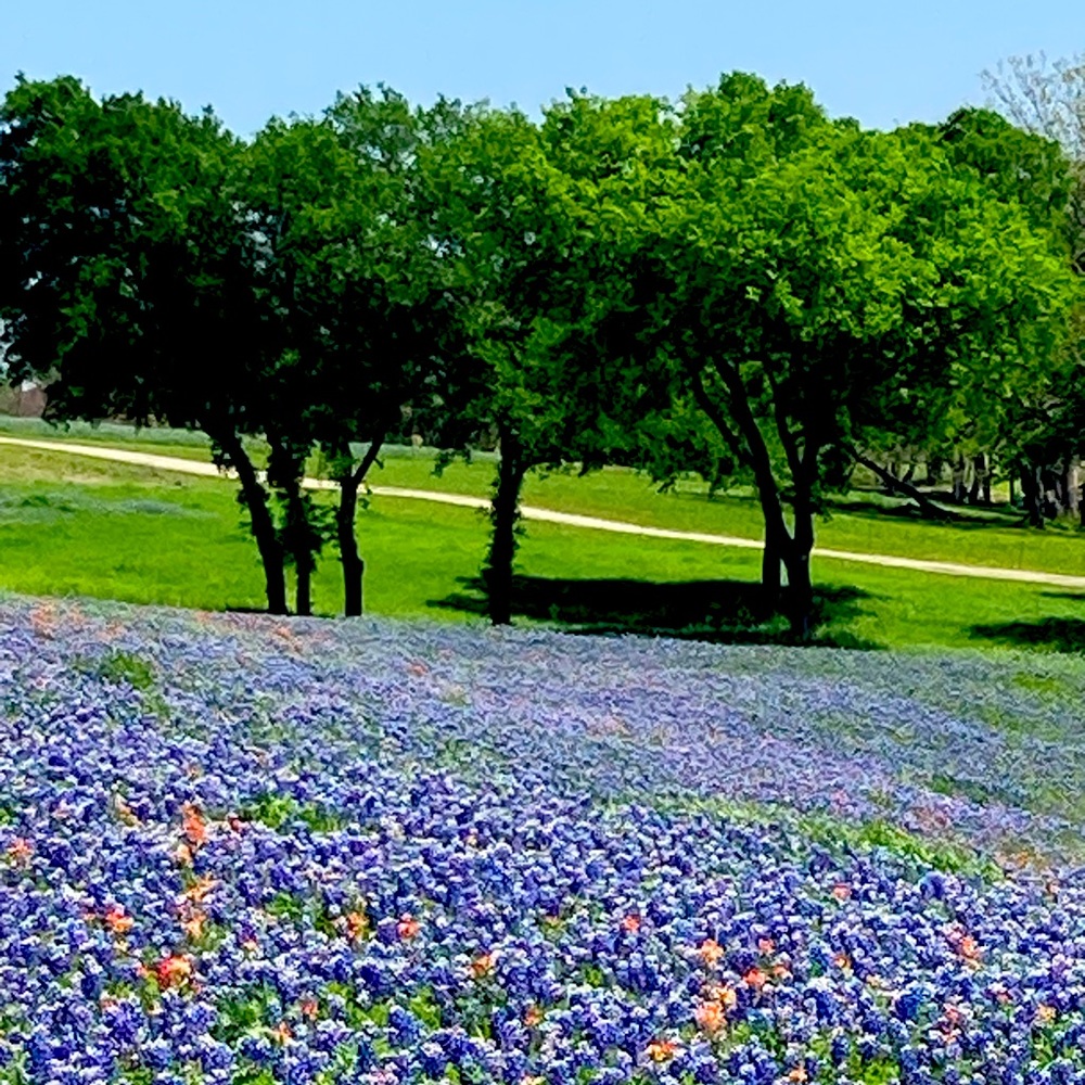 Meet your Posher, Johnny